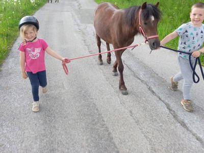 Bild 13 aus  Bio Bauernhof Öbrist