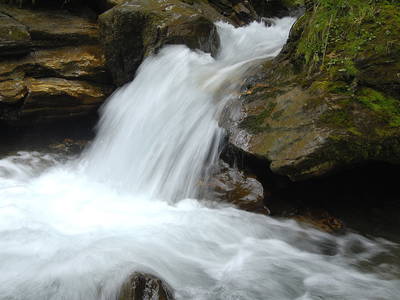 Bild 33 aus  Palfenhof