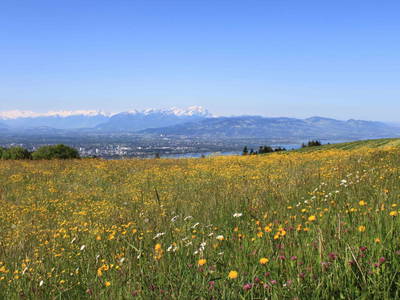 Bild 42 aus  Naturhof Innauer