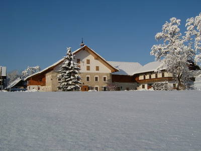 Bild 60 aus  Bio Bauernhof Paulbauer