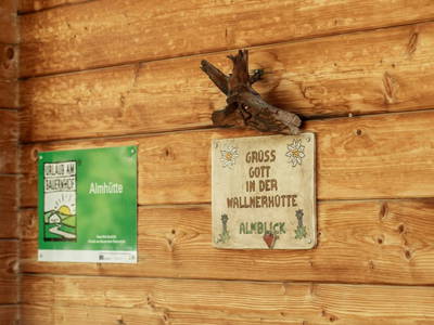 Bild 7 aus  Wallnerhütte I Almblick