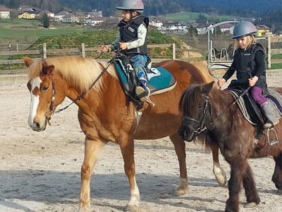 Bild 54 aus  Bio- und Reiterhof Gollner