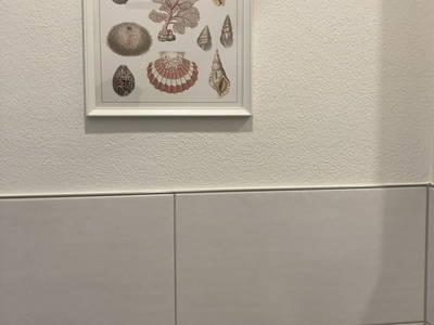 Bild 36 aus  Pferdehof Thomayer