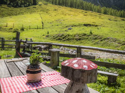 Bild 26 aus  Unterpleißlinghütte