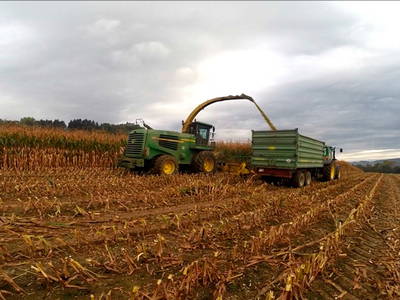 Bild 25 aus  Ferienhof Burghöfe