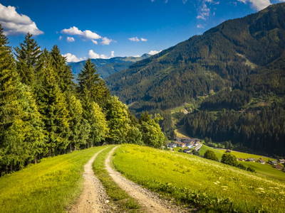 Bild 50 aus  Lienbichl