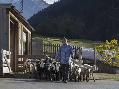 Bild 32 aus  Biohof Mathies