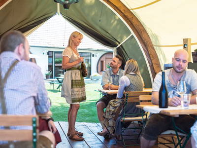 Bild 33 aus  Winzerhof Küssler, Weinviertel