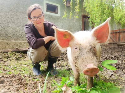 Bild 7 aus Ferienhaus Warga