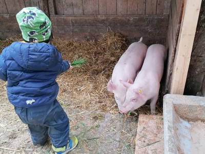 Bild 79 aus  Untergrabner Hütte