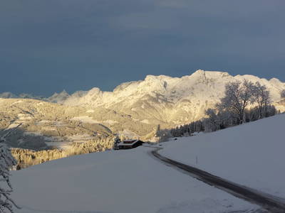 Bild 74 aus  Steinerhof