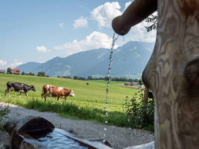 Bild 17 aus  Wichtelhütte