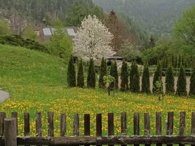 Bild 86 aus Umundum Hütte