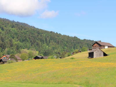Bild 15 aus  Imkerei Hammerer