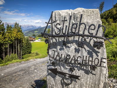 Bild 26 aus  Taurachhof - Astlehen