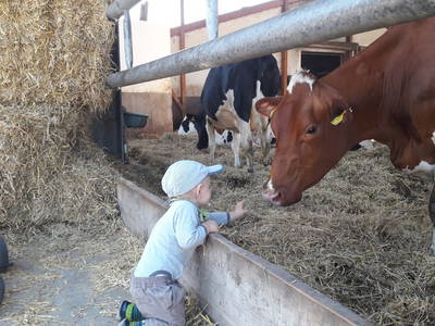Bild 18 aus  Erholung - Natur pur - Urlaub auf dem Loyerhof