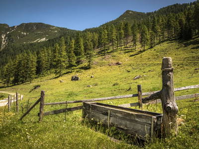 Bild 18 aus  Hintereggalm