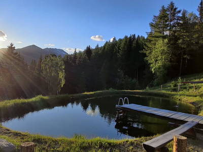 Bild 155 aus  Almchalet Nikola