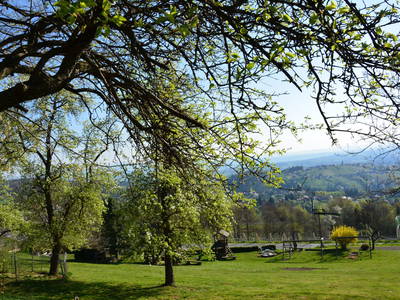 Bild 17 aus  Weingut Seiner vlg.Kraxner