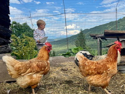 Bild 18 aus  Panorama Ferienhaus am Stopferhof