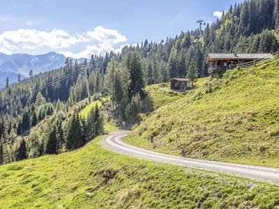 Bild 33 aus  Sonnenhütte