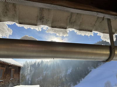 Bild 263 aus  Michlbauer