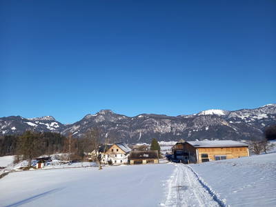 Bild 38 aus  Feuerlehof