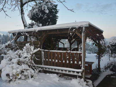 Bild 20 aus  Bio-Bauernhof Haunschmid