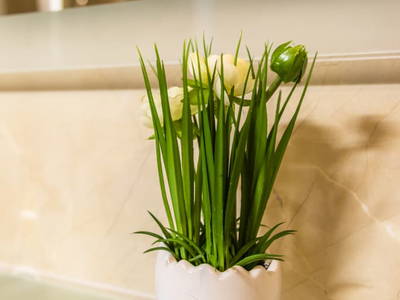 Bild 50 aus  Schwammerlhütte