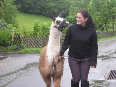 Bild 14 aus  Kempfenhof