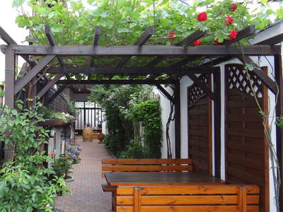 Bild 2 aus  Weingut Pillinger