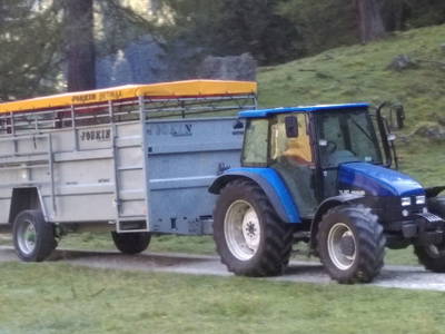 Bild 62 aus Linarhof