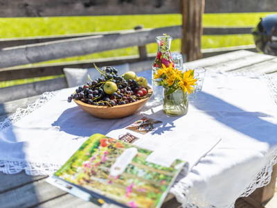 Bild 13 aus  Oberhaslachhof