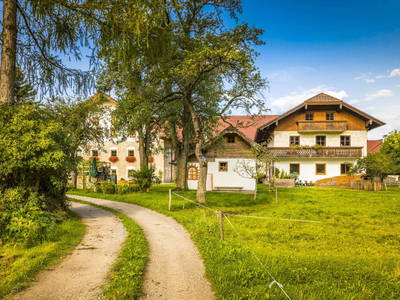 Bild 27 aus  Bio Bauernhof Paulbauer