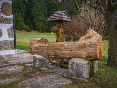 Bild 71 aus  Ferienhaus Rainbauer