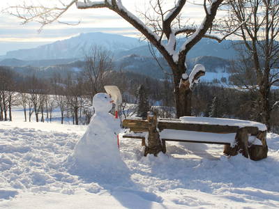 Bild 12 aus  Hirmhof