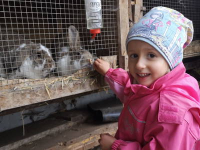 Bild 55 aus  Reitbauernhof Ferner