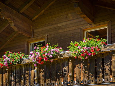 Bild 36 aus  Ebenhütte