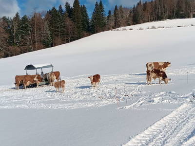 Bild 56 aus  Ferienhaus Untergrünweg