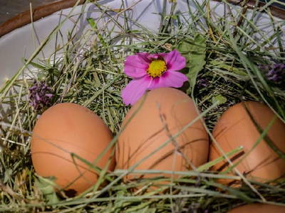 Bild 81 aus  Ascherhof