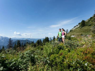Bild 12 aus  Almchalet - Hirterhütte Trattbergalm