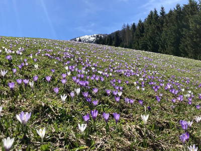 Bild 42 aus Neuhauserhof