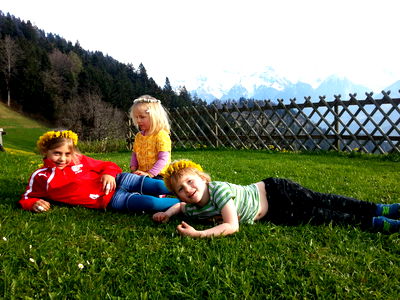 Bild 41 aus Berghof Burtscher