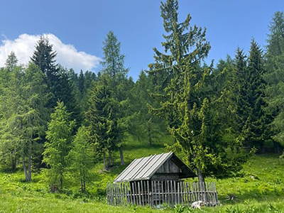 Bild 102 aus Neuwirth Hütte