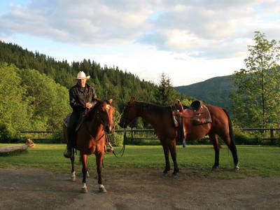 Bild 11 aus  Almhaus Biendl in Bach