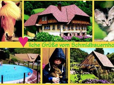 Bild 2 aus  Schmidbauernhof