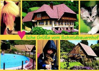 Schmidbauernhof aus Oberwolfach