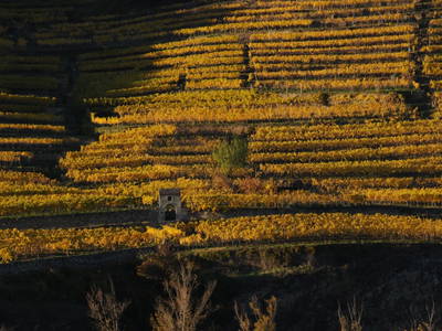 Bild 47 aus  Landhaus Furth 8