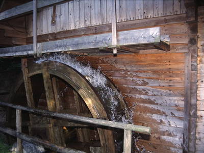 Bild 16 aus  BioBauernhof Sommer