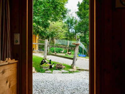 Bild 41 aus  Römerweg